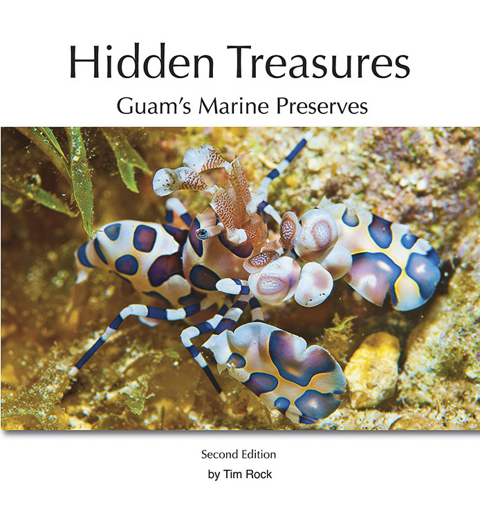 Hidden Treasures