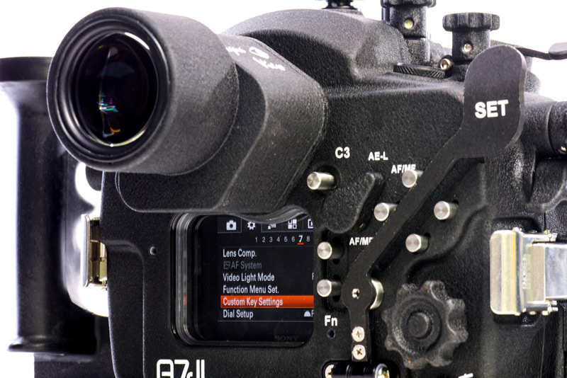 Aquatica A7R II: 20079 - Image 16